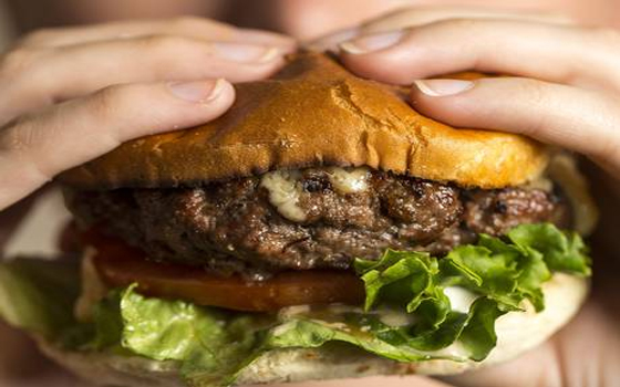   مصر اليوم - علماء توصلوا الى انتاج لحوم صناعية من خلايا جذعية بقرية بكلفة باهظة