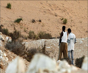   مصر اليوم - إحباط محاولة تسلل 7 سودانيين لإسرائيل