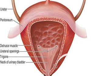   مصر اليوم - السلس البولي يتسبب فى الإصابة باضطرابات النوم