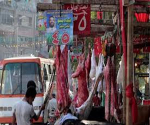   مصر اليوم - تحرير 117 محضرا تموينيًا في مختلف الأسواق في قنا