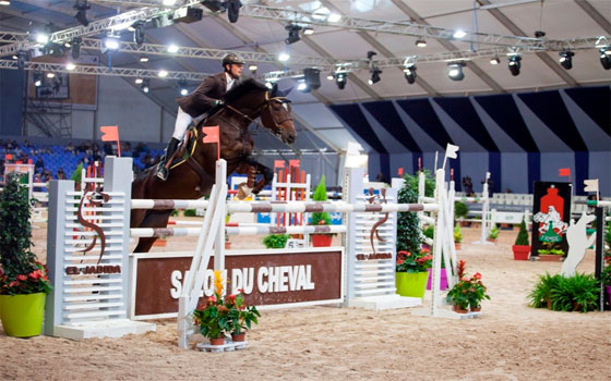   مصر اليوم - معرض الفرس في الجديدة المغربية يجذب أنظار العالم مطلع أكتوبر 2013