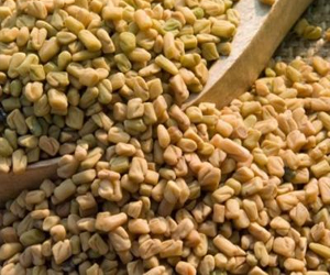   مصر اليوم - فوائد الحلبة