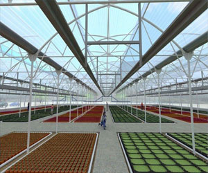 مصر اليوم - الإمارات تخطط لإنتاج 20 ميغاواط من طاقة غاز النفايات في 2020