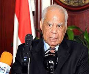   مصر اليوم - شوقى يؤكد القدرة على  فض اعتصام رابعة في أقل من ساعة