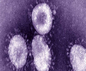   مصر اليوم - 20 % من سكان الإسكندرية مصابون بفيروس الكبدي الوبائي