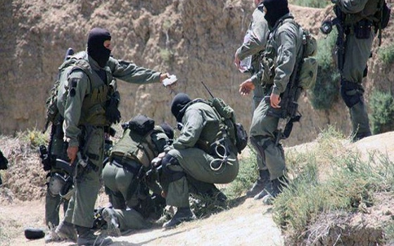 مصر اليوم - العريض يعلن اعتقال متورطين في اغتيال البراهمي ويدعو المتطرفين إلى الاستسلام