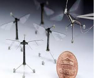   مصر اليوم - النحلة الآلية الطنانة روبو بي