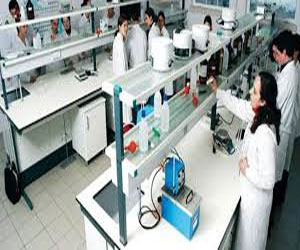   مصر اليوم - بدء التعليم بالجامعة  المصرية - اليابانية في برج العرب