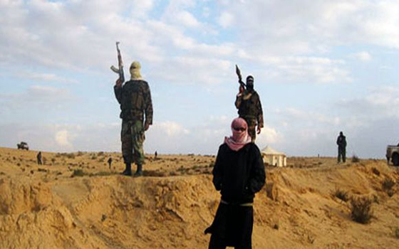   مصر اليوم - القوى السياسية والثورية المصرية تعقد مؤتمر لا لدعم  الإرهاب الثلاثاء