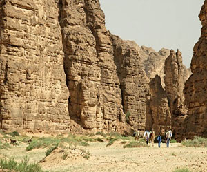 مصر اليوم - العثور على 48 هيكلًا بشريًا في منجم مهجور بولاية سكيكدة الجزائرية