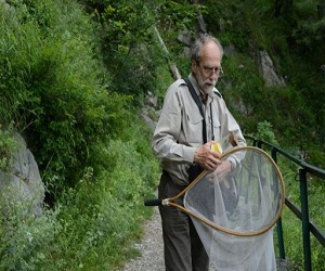 مصر اليوم - في جبال باكستان فرنسي يطارد الفراشات