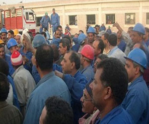   مصر اليوم - الاربعاء عقد جولة أخري من المفاوضات بين العمال وشركة السويس للصلب