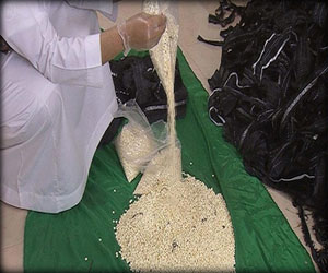 مصر اليوم - إحباط محاولة تهريب أكثر من 76 ألف حبة مخدرة على الحدود السعودية الأردنية