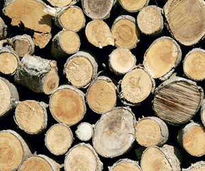 مصر اليوم - الطاقة المتجددة تواجه متاعب في بريطانيا