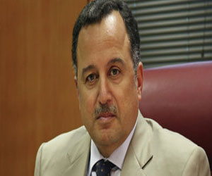   مصر اليوم - وزير الخارجية المصري يؤكد على استقلال قرار بلاده