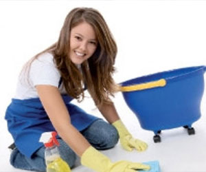   مصر اليوم - الألمان يثقون في عمال النظافة أكثر من أى شخص آخر