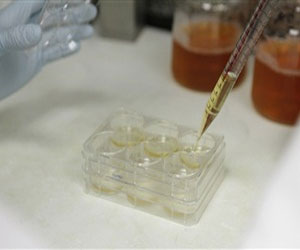   مصر اليوم - علماء صينيون يطورون طريقة ميسرة لإنتاج خلايا جذعية لعلاج الأمراض المزمنة