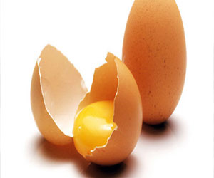   مصر اليوم - البيض السوري ممنوع من التصدير