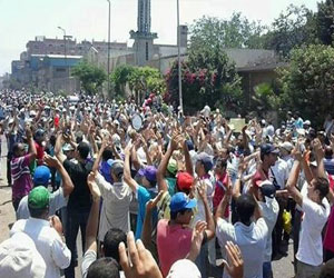   مصر اليوم - تحالف الشرعية في الأقصر يدعو لتنظيم مسيرة بالسيارات والدرجات