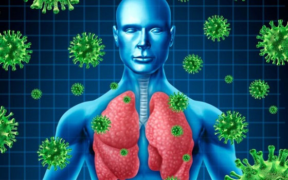   مصر اليوم - علماء يُشكِّكون في نتائج دراسة زعمت توصلها إلى أصل فيروس كورونا