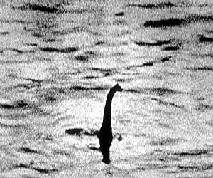 مصر اليوم - عودة لغز وحش البحيرة للظهور مُجددًا في اسكتلندا