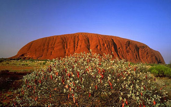   مصر اليوم - أفضل وجهات أستراليا الرائعة تقدمها كاثي ليت