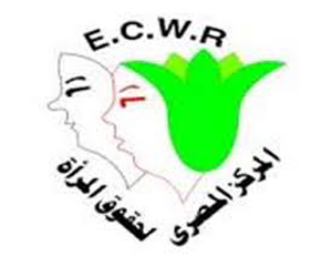   مصر اليوم - المصري لحقوق المرأة: نسبة تمثيل النساء في لجنة الخمسين صادمة