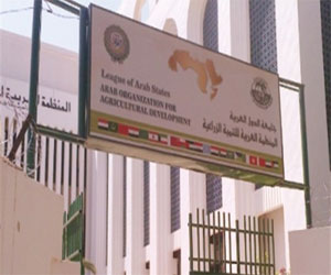   مصر اليوم - قاعدة البيانات في ورشة عمل لـ العربية للتنمية الزراعية
