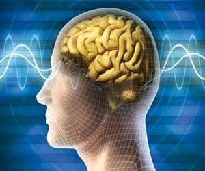   مصر اليوم - الحمية الغذائية للبحر المتوسط تحمي العقل وتعزز وظائف الإدراك