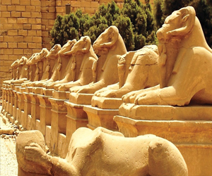   مصر اليوم - مصر تعلن استئناف إحياء طريق الكباش في الأقصر