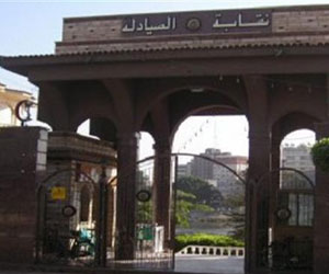   مصر اليوم - نقابة الصيادلة  تبحث شكاوي الصيادلة من نقص الدواء