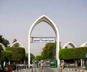   مصر اليوم - هزيمة مرشح الإخوان في انتخابات رئاسة صندوق التأمين في جامعة المنيا