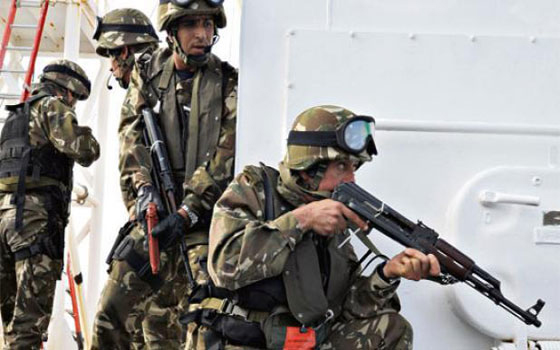   مصر اليوم - الجيش الجزائري يبدأ الفتح المبين لاستئصال بقايا التنظيمات المتطرفة