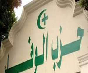   مصر اليوم - مبادرة وفدية لتنظيف وتجميل شوارع الأقصر