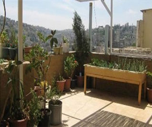   مصر اليوم - زراعة الأسطح هي الحل الوحيد لمشكلات الغذاء