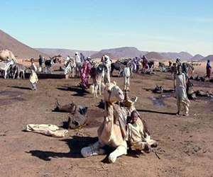   مصر اليوم - اجتماع أممي أفريقي مشترك لبحث تنمية دارفور