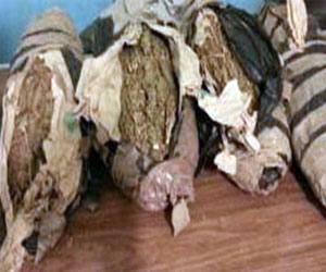   مصر اليوم - ضبط عاطل يروج كمية من المخدرات في الغردقة