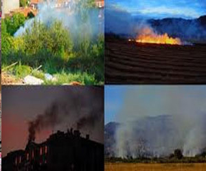   مصر اليوم - ماليزيا تدعو المجتمع الدولي إلى وضع قيم للحفاظ على البيئة