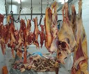   مصر اليوم - الصحة تضبط كميات من اللحوم الفاسدة في الإسماعيلية