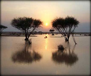   مصر اليوم - المعدل السنوي للأمطار في قطر بلغ 76.8 مليمترًا