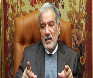   مصر اليوم - السلمى: قضايا اجتماع المحافظين يمكن حلها دون الاجتماع مع رئيس الوزراء