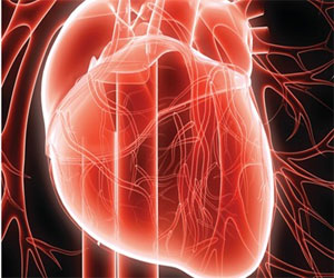   مصر اليوم - البوتاسيوم مفيد لعضلة القلب