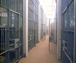   مصر اليوم - وفاة 86 شخصًا في سجون المغرب خلال 2013