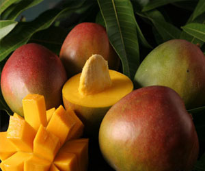   مصر اليوم - المانجو تقي من السرطان وتقوي البصر