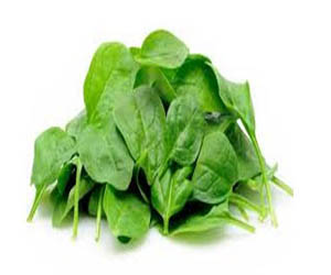   مصر اليوم - الشيكولاته والسبانخ والثوم يحمى من ظهور الدوالى