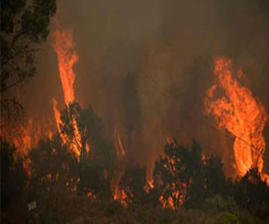   مصر اليوم - حرائق الغابات تلتهم أروع الأماكن الطبيعية أسبانيا