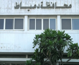   مصر اليوم - قافزون حركة دمياطية ساخرة للقفز على ثورة 30 يونيو