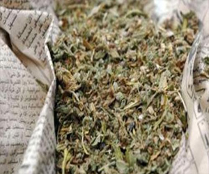 مصر اليوم - ضبط كيلو بانجو بحوزة عاطل في الغردقة