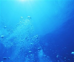 مصر اليوم - مياه البحر العميقة تقي من سرطان وتقرّحات المعدة