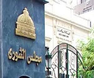   مصر اليوم - نشطاء ينظمون وقفة أمام الشورى للمطالبة بدستور جديد